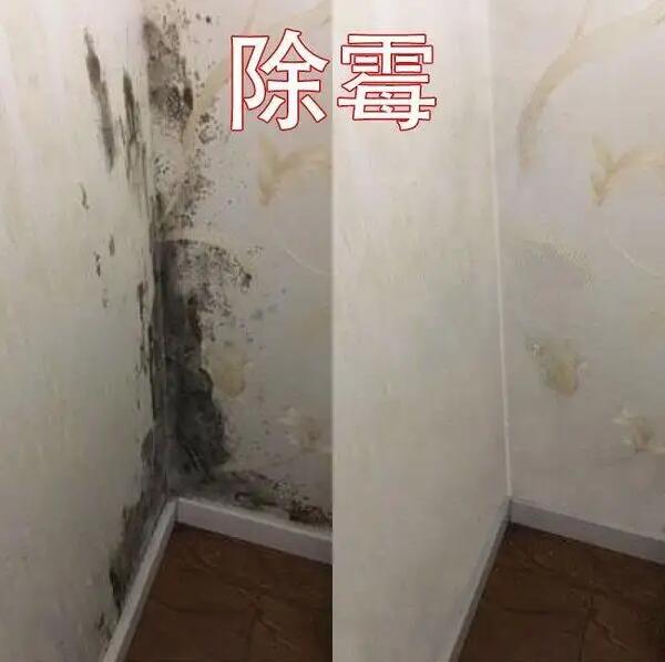 ��ƽ�۰������²��ϣ���ƽ�۰������¹�˾����ƽ�۰�������ʩ������ƽ�۰������£���ƽ�۰������¹��̹�˾����ƽ�۰�����Ϳ���ң���ƽ�۰�������ƽ�۰���������ƽ�۰������ң���ƽ�۰�����˾����ֱ������